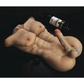 Masturbator, männlicher Torso, Sexspielzeug, lebensechter, riesiger Dildo, Penis, Sexpuppe für Frauen