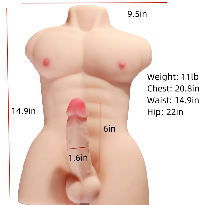 Halbkörper Sexpuppe, männlicher Torso aus TPE Sex spielzeug für Männer, Schwule und Frauen mit großem Penis